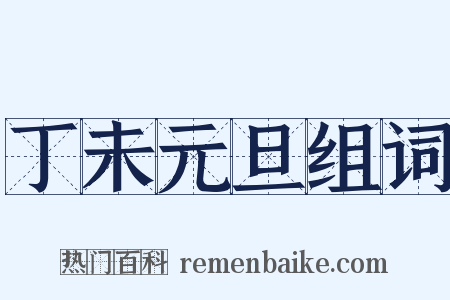 丁未元旦组词是什么意思的图片